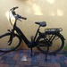 Gazelle Arrojo C7 Elite - Bild 1