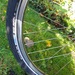 - Flottes E-Bike mit Frontantrieb, 46er Rahmen - Bild 7