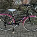 Jugendrad Neu Rahmenh.ca 40 cm Anl. b.30km 100Euro - Bild 1