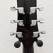 Ibanez Talman InterCity  - Bild 5
