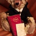 Teddybär - limitiertes Sammlerstück - Bild 1