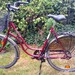 Damenfahrrad Rabeneick - Bild 1