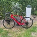 Simplon Kiaro Disc RH 55 Ultegra DI 2 - Bild 1