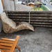 WOHNUNG ZU VERMIETEN IN Bremen Ellenerbrook - Bild 5