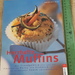 Herzhafte Muffins viele neue Rezeptideen - Bild 1