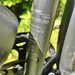 Sushi Bike Maki BJ 2020 - Bild 3