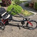 Hase Trigo up Erwachsenen Dreirad  - Bild 2
