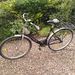 Damenrad  - Bild 1