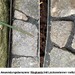 240 neue/gebrauchte BASALT-Pflastersteine- 36 Euro - Bild 1