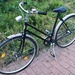 28 Zoll Singlespeed - Bild 1