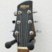 Ibanez Talman InterCity  - Bild 2