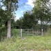 5.231qm Freizeitgrundstück in Dötlingen - Bild 14