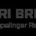 Finanzbuchhaltung (m/w/d)  - Bild 1