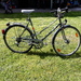 2 PEUGEOT Sporträder NICE für 450 EUR - Bild 3