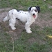 Sayah sucht eine Familie  - Bild 2