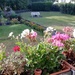  - 3 Zimmer Wohnung mit Balkon & Garten in Lüssum - Bild 1