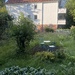 Neustadt: zwei Zimmer Wohnung mit eigenem Garten  - Bild 5
