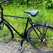 Gazelle Hollandrad Rennrad 28 Zoll 18-Gang RH57cm - Bild 1