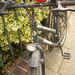 Fahrrad 26 er, mit Schaltung,  - Bild 2