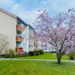 Möbliertes Apartment zentral östliche Vorstadt - Bild 7