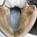  Meindl Lederstiefel Meran - Bild 8