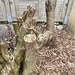 Suche Sägehilfe für Holzstämmchen  - Bild 2
