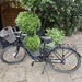 EBike Cityfahrad - Bild 5