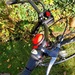 - Flottes E-Bike mit Frontantrieb, 46er Rahmen - Bild 5