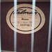 Ibanez Talman InterCity  - Bild 3