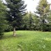 5.231qm Freizeitgrundstück in Dötlingen - Bild 2