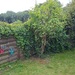 Parzelle  - Bild 5