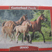 Puzzle  2000 Teile - Bild 5