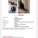 Katze Minnie vermisst Schwachhausen  - Bild 1