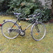 2 PEUGEOT Sporträder NICE für 450 EUR - Bild 2