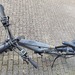 RR900 Next Generation 29 Zoll - Bild 1