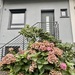 Modernisiertes Reihenhaus in Bremen-Kattenesch - Bild 1