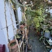 Viertel 2Zimmer Wohnung mit eigenem Garten - Bild 9