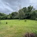 ELLENER FELD, 3 Zimmer, EBK, Balkon, nahe DAIMLER  - Bild 1