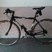 Stevens Izorad Rennrad 50cmRH Shimano Ultegra - Bild 1