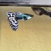 Guppy Japan Blue Ivory Mosaik Pärchen - Bild 1