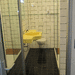 Neustadt, 80m2, 3Zi, Garten,Balkon, 840KM, 100 NK  - Bild 2