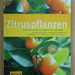 Zitruspflanzen Schritt für Schritt Ratgeber - Bild 1