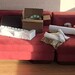 Großes schickes Sofa zu verschenken  - Bild 1