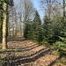 5.231qm Freizeitgrundstück in Dötlingen - Bild 11