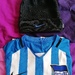 Hertha BSC Trainings-Shirt & Mütze - Top Zustand  - Bild 1