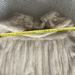 Mantel  - Bild 2