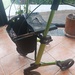 Rollator Gemio - Bild 1