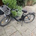 EBike Cityfahrad - Bild 1