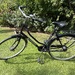 Hollanddamenrad Batavus - Bild 1
