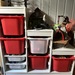 Ikea Trofast - Aufbewahrungssystem - Bild 1